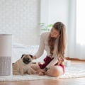 The Vital Role of Air Purifiers for Dusty Houses in Maintaining Cleaner Air After Attic Insulation Installation in Broward County FL for Long-Term Dust Control